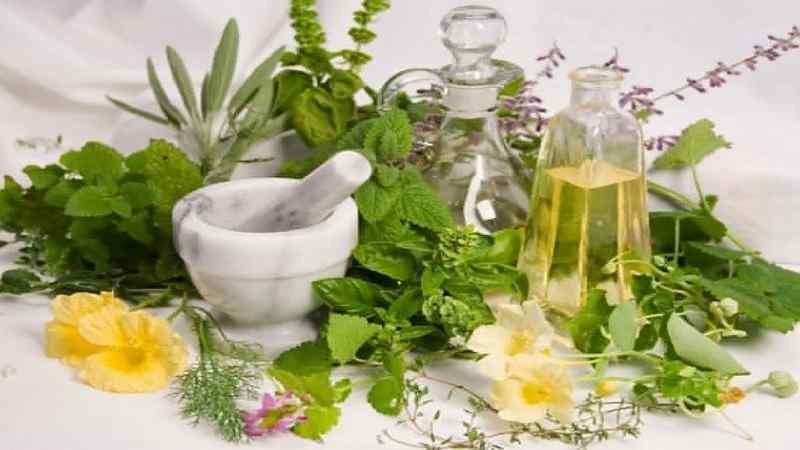 Natural Products: Introduction, About, chemistry, And More