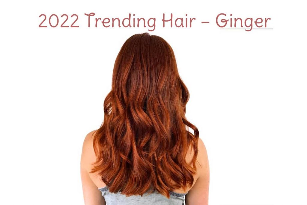 2022 Trending Hair – Ginger
