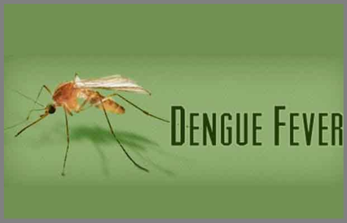 Dengue Fever