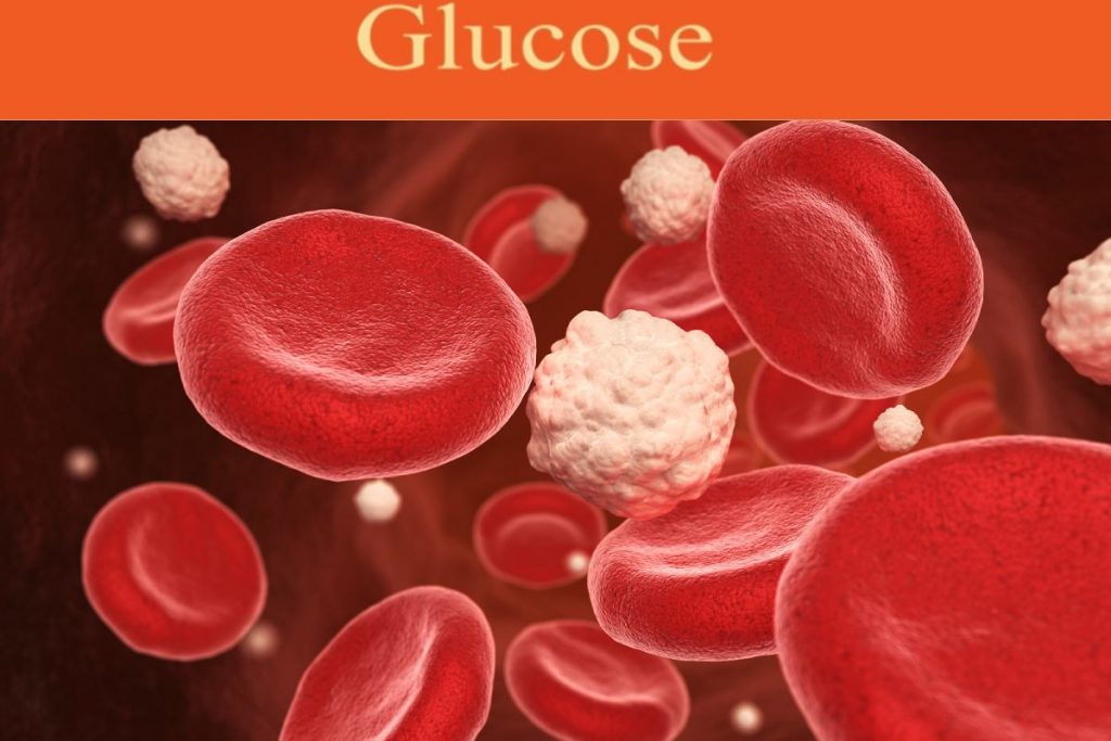 What Is Glucose and How Does It Work?