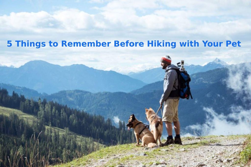 5 Things to Remember Before Hiking with Your Pet