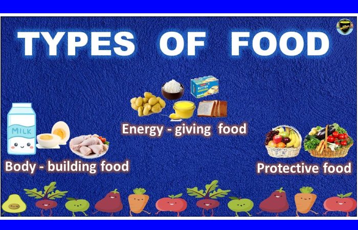 Types of Food