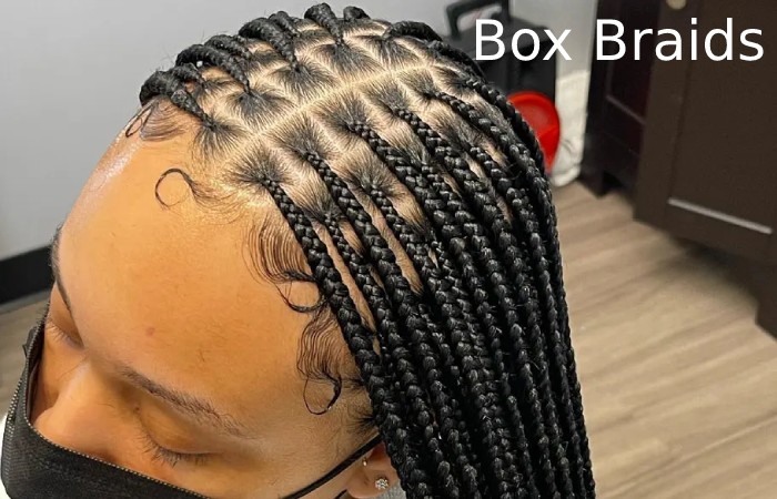 What are Box Braids?