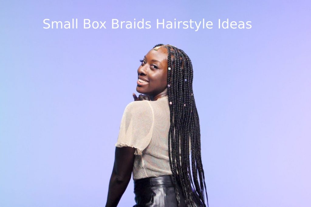 Small Box Braids Hairstyle Ideas