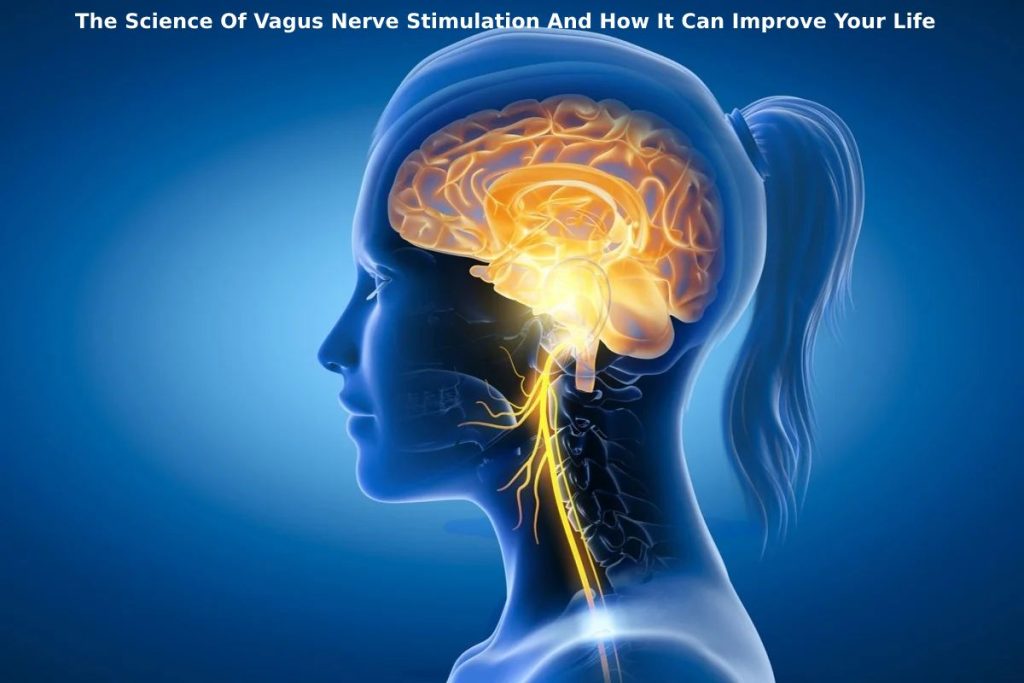 The Science Of Vagus Nerve Stimulation And How It Can Improve Your Life