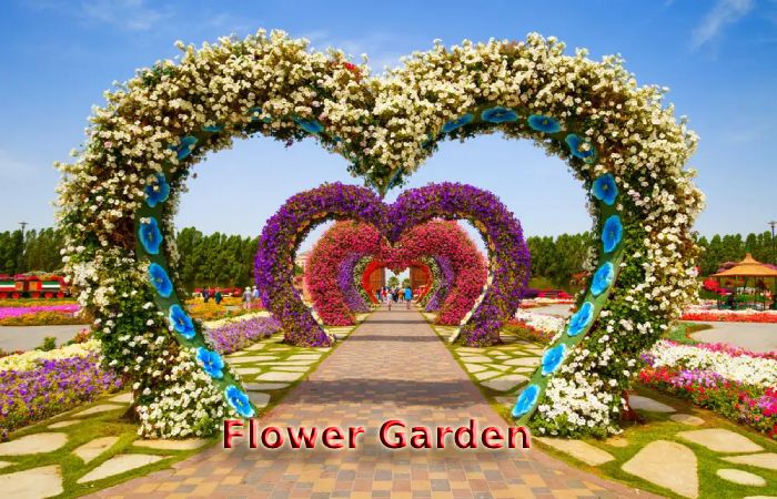 Flower Garden