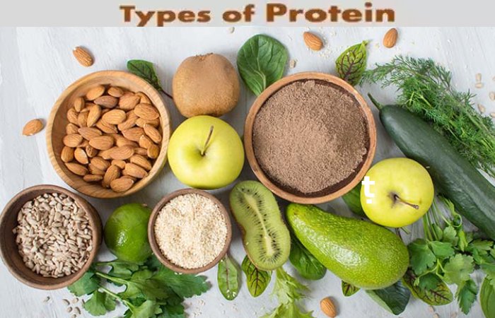 Types of Protein