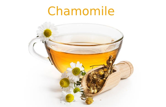 Chamomile
