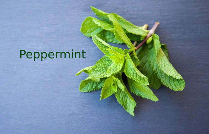 Peppermint