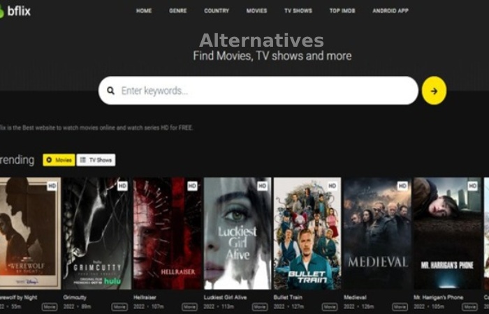 Bflix Alternatives {2023 Updated}