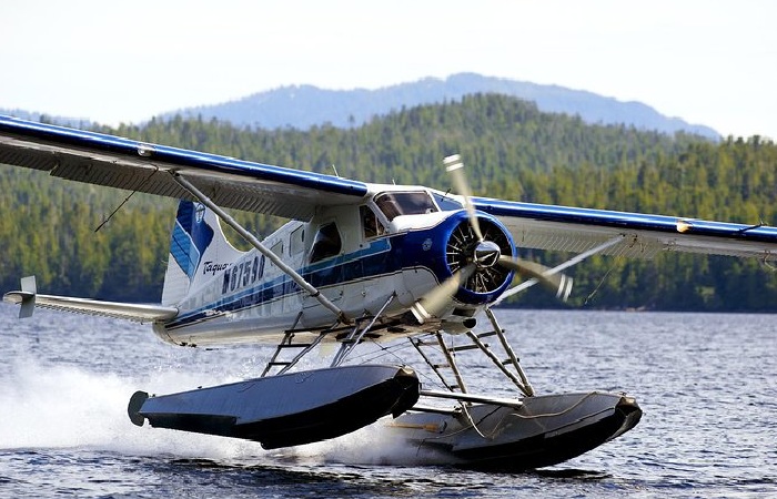 Misty Fjords Scenic Flight: A Bird’s-Eye View of Natural Splendor