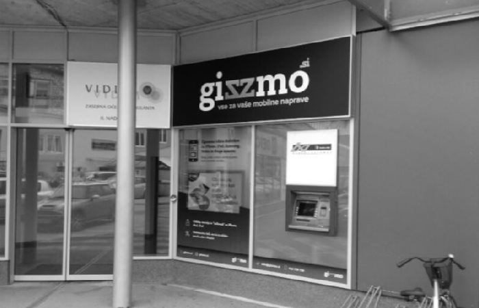 The Rationale Behind Our Analysis for Gizzmo. hr