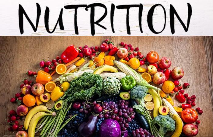 Types of Nutrition